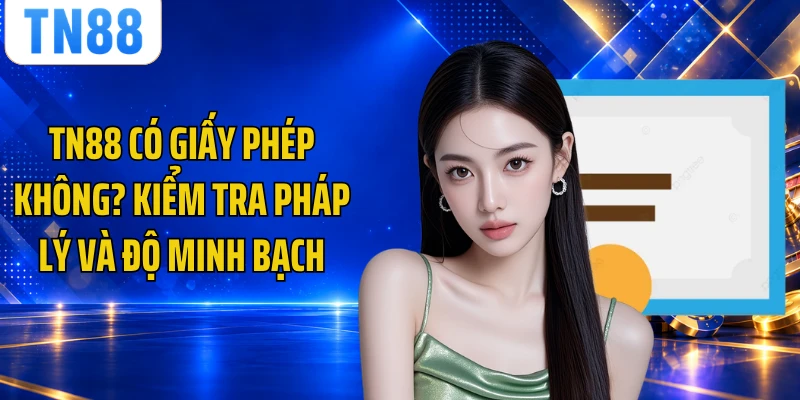 TN88 Có Giấy Phép Không? Kiểm Tra Pháp Lý Và Độ Minh Bạch